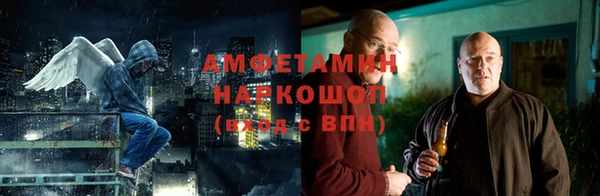 мдпв Вяземский