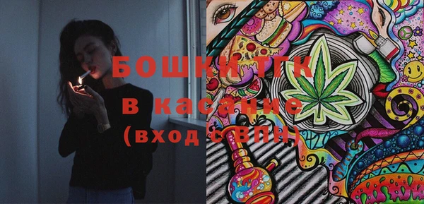 мдпв Вяземский