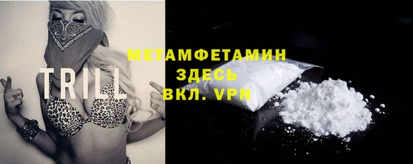 мдпв Вяземский