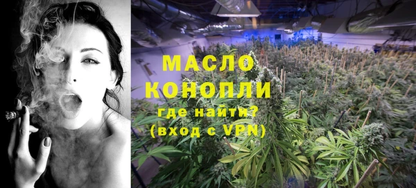 мдпв Вяземский