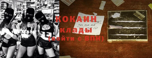 мдпв Вяземский