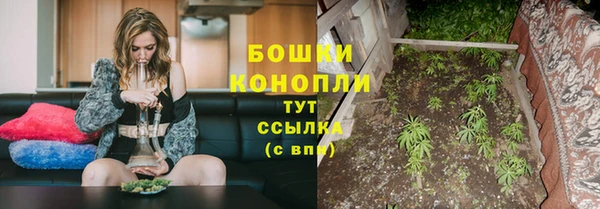мдпв Вяземский