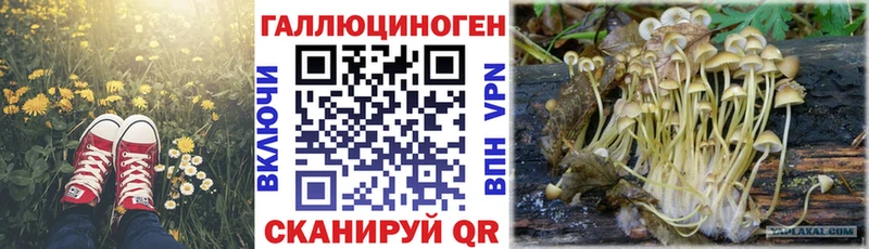 наркошоп  Обоянь  Галлюциногенные грибы Cubensis 